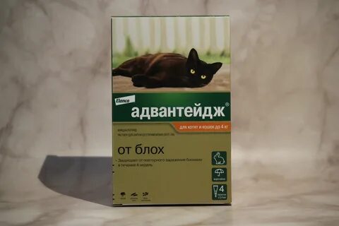 Адвантейдж для кошек отзывы