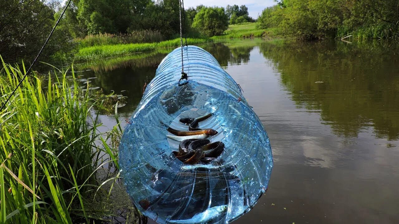 Ловить рыбу большую руками. Мордушка ЛОВУШКА для рыбы. ЛОВУШКА для рыбы верша. Раколовка из бутылки. ЛОВУШКА для рыбы из бутылки.