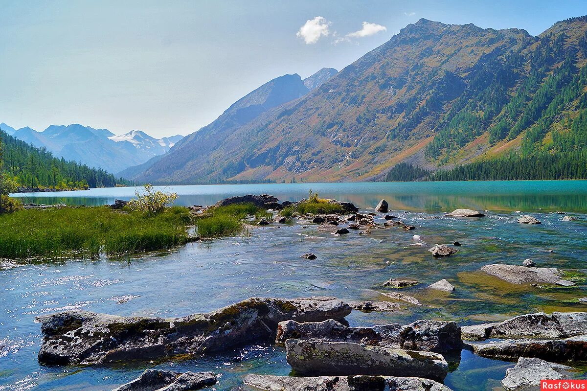 поселок тюнгур алтай. мультинские озёра озёра республики алтай. долина реки чуя горный алтай. озеро камрю горный алтай. сайты горного алтая.
