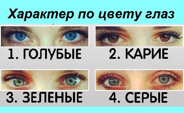 Цвет правды. Цвет глаз и характер. Цвет глаз и характер человека. Характер по цвету глаз. Голубо карие глаза.