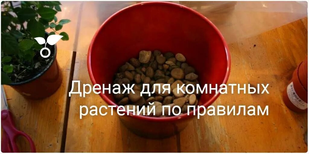 Пересадка цветов дренаж. Дренаж для цветов. дренаж для комнатных растений. дренаж из керамзита для комнатных растений. дренаж в горшке.