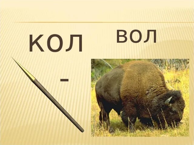 Кол вол. Что за слово вол. Автор вол.о. Покажи мне картинку вол. Ела вола