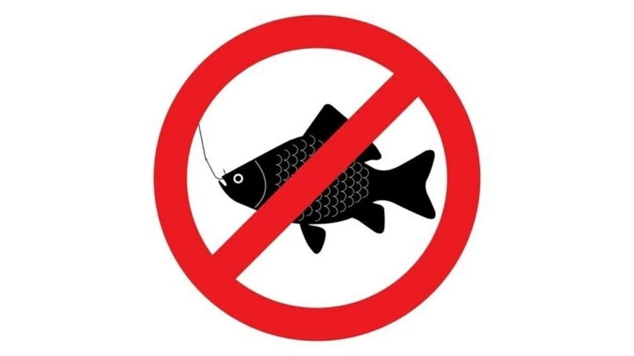 Весенний запрет на ловлю. Лов рыбы запрещен табличка. Ловля рыбы запрещена табличка. Рыбная ловля запрещена. Знак запрета ловли рыбы.