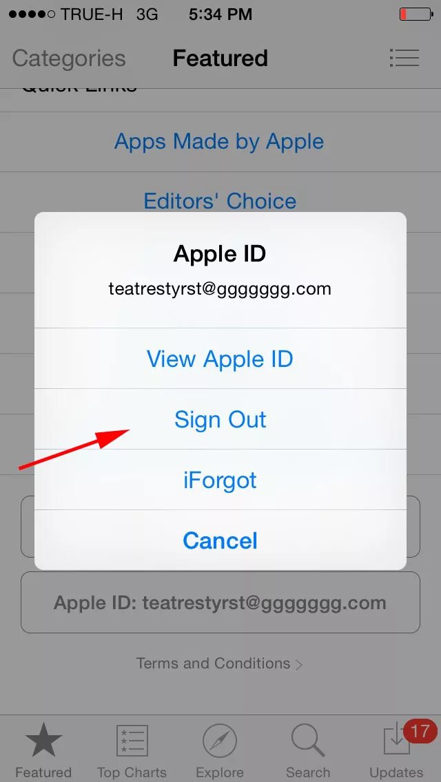 Что такое Apple ID на айфоне 7. Дополните Apple ID на айфоне 11. Учетная запись Apple ID. Apple ID скрин. Привязка apple id