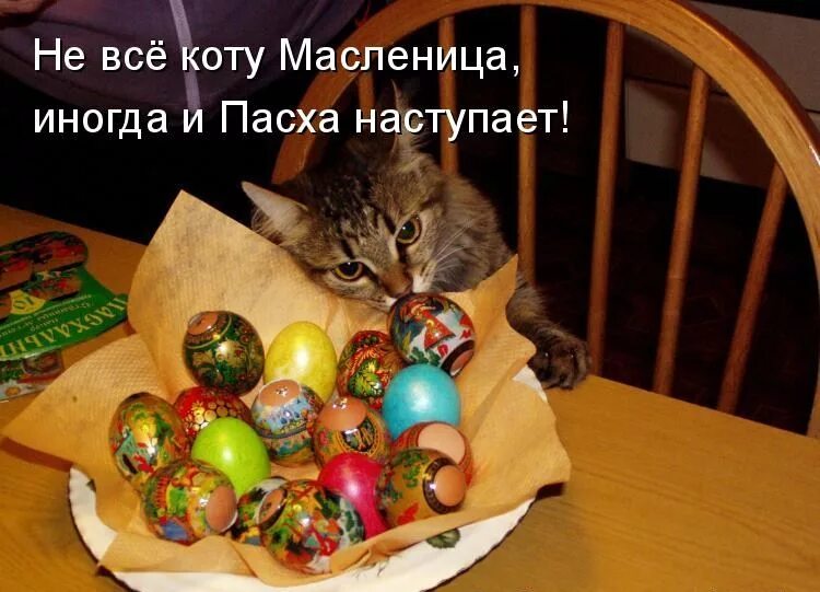 Анекдоты про пасху. Пасха приколы. Оригинальные яйца на пасху. Пасхальные яйца юмор. Прикольные яйца на пасху.