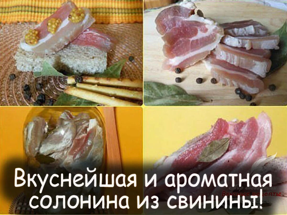 солонина русская. сало солонина. сало солонина. сало солонина. сало солонина.