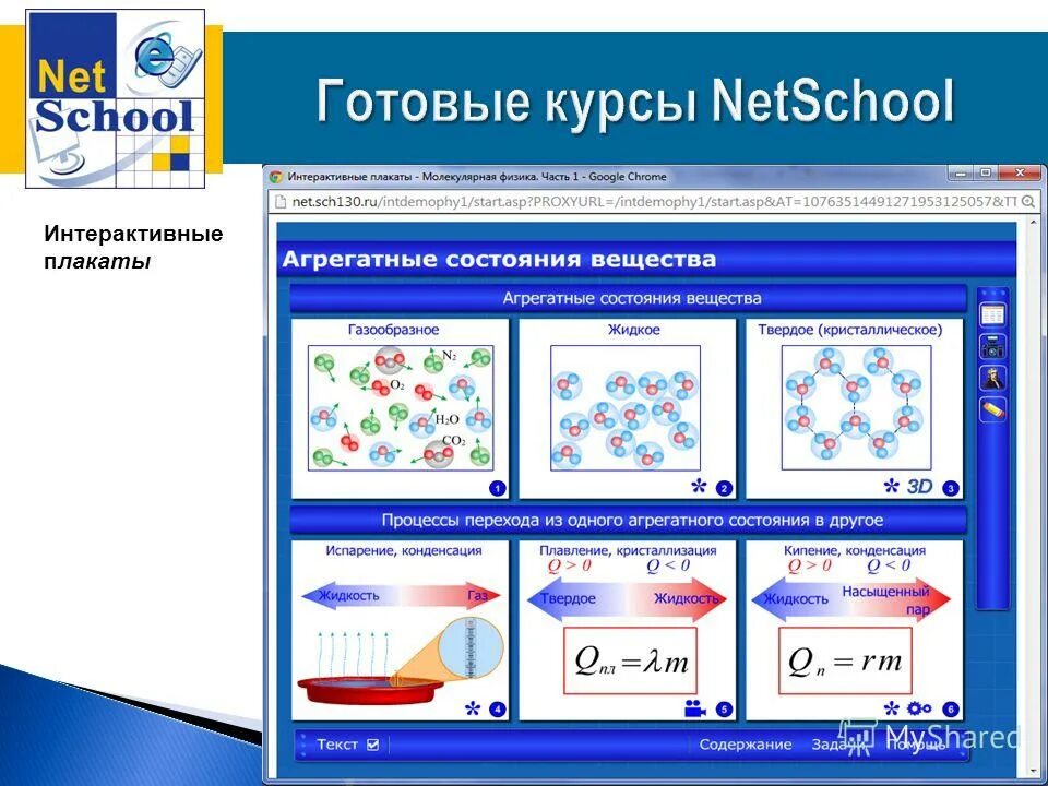 Нетскул. Программа netschool. Нетскул Арти. Нетскул школа 12