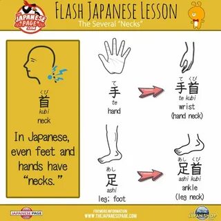 Learn japanese