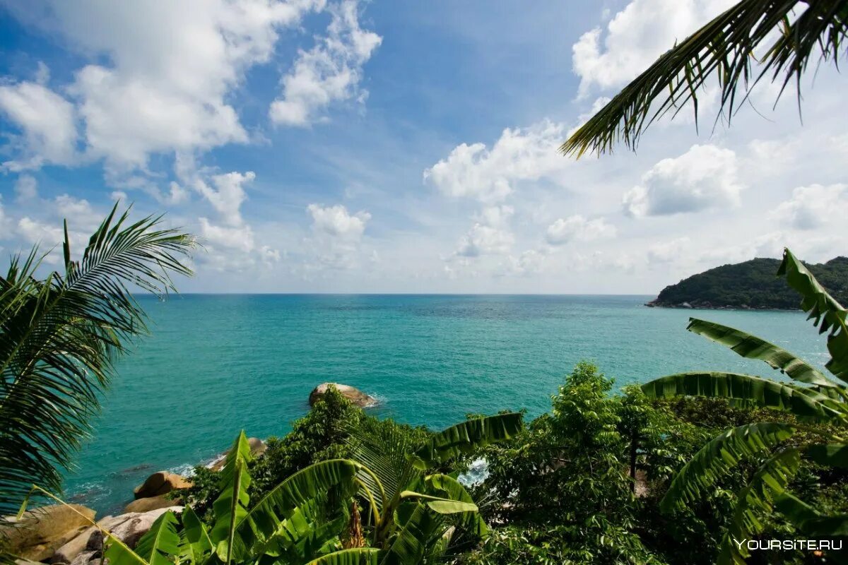 Самуи остров в тайланде. Таиланд остров koh samui. Самуи это. Самуи тайланд столица. Самуи это.