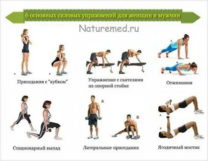 Тренировка в зале на каждый день