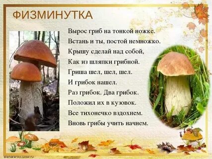Составить познавательный текст про подосиновик