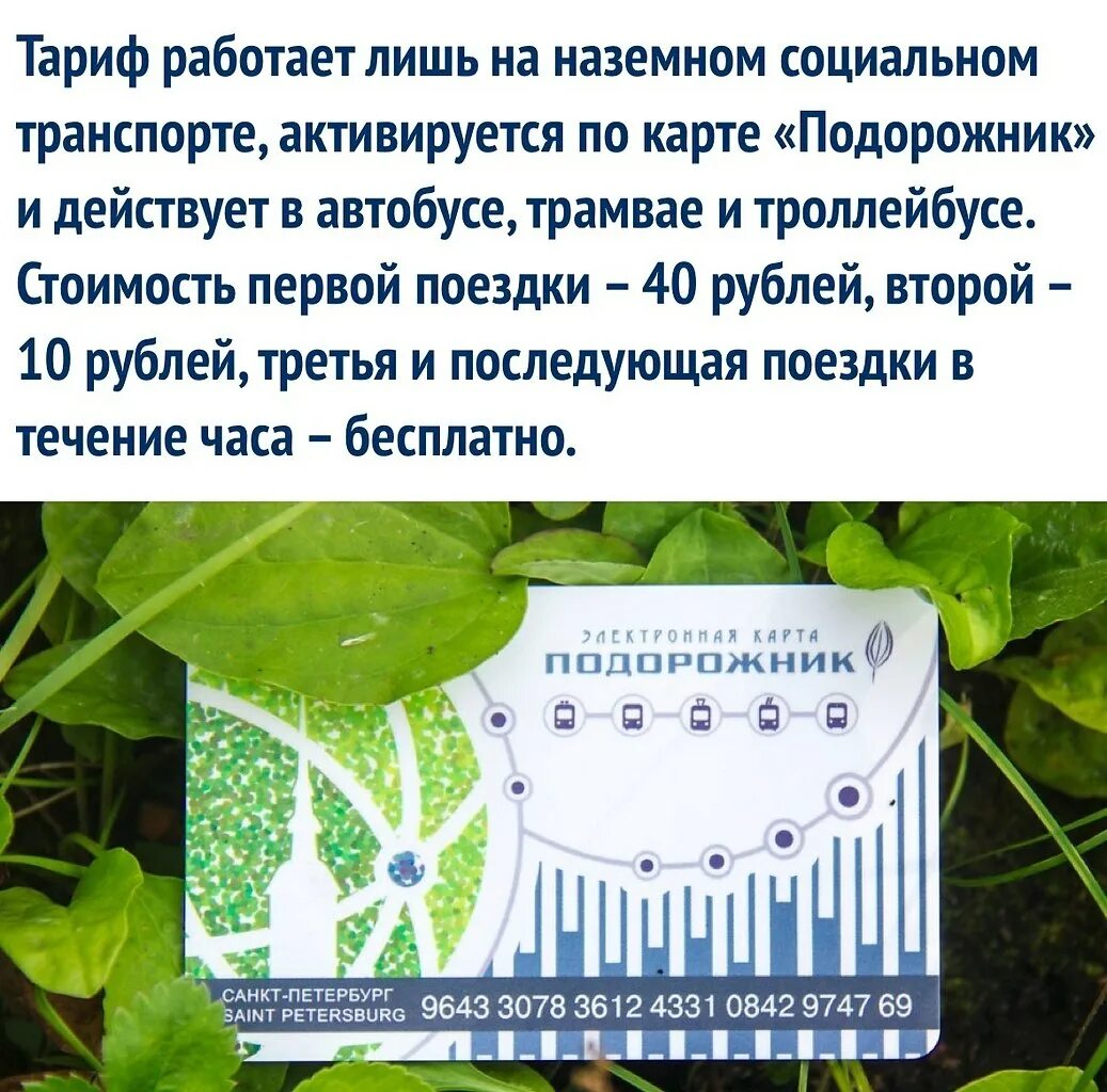 Подорожник выгодно. Карта подорожник. Карта подорожник СПБ. Электронная карта подорожник СПБ. Проездной карточка подорожник.