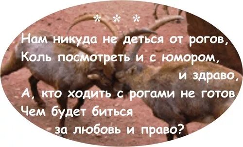 И никуда нам не деться от этого. Что значит ходить с рогами. А кто то с рогами ходит. Никуда от меня не денешься майер читать