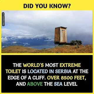 Interesting true