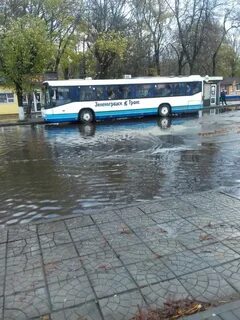 В зеленоградске утонул