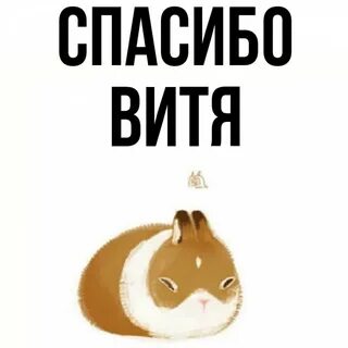 Имя вите