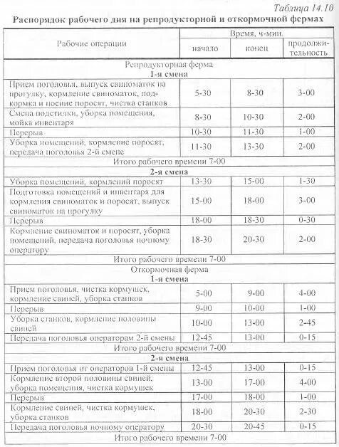 Правила распорядка рабочего дня. Правила распорядка рабочего дня