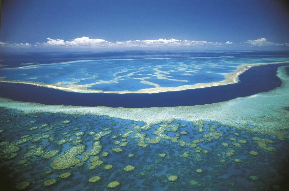 Великий Барьерный риф Австралия. Большой Барьерный риф в тихом океане. Коралловое море Барьерный риф. Коралловый Барьерный риф в Австралии. Great planet