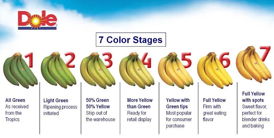 Как будет по английски банан. Dole бананы. Стадии созревания банана. Этапы созревания бананов. Стадии зрелости бананов.