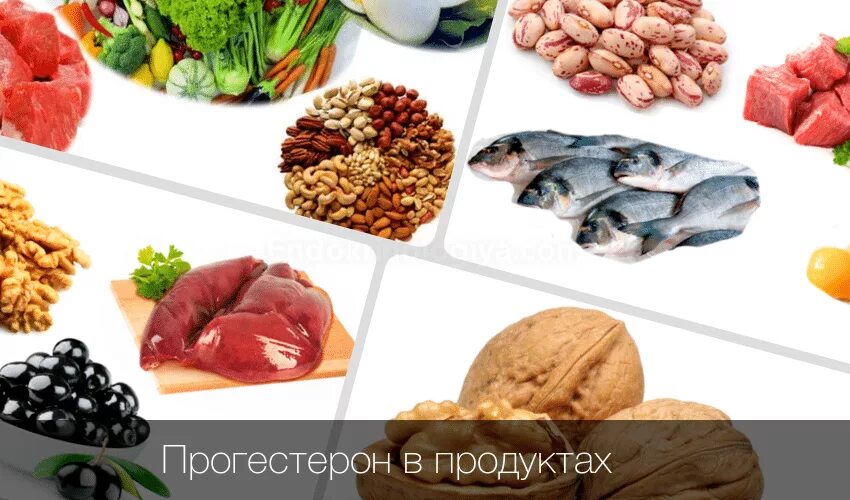 Продукты понижающие прогестерон. Травы повышающие прогестерон. В каких продуктах содержится прогестерон. Уровень прогестерона у женщин норма. Продукты для поднятия прогестерона.