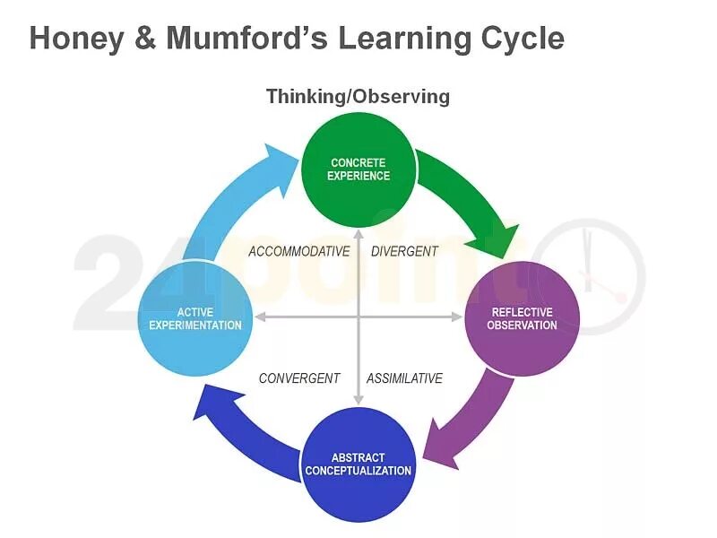 Хони мамфорд. Хони мамфорд. Honey and mumford learning styles. Стили обучения. Тест хани мамфорд.