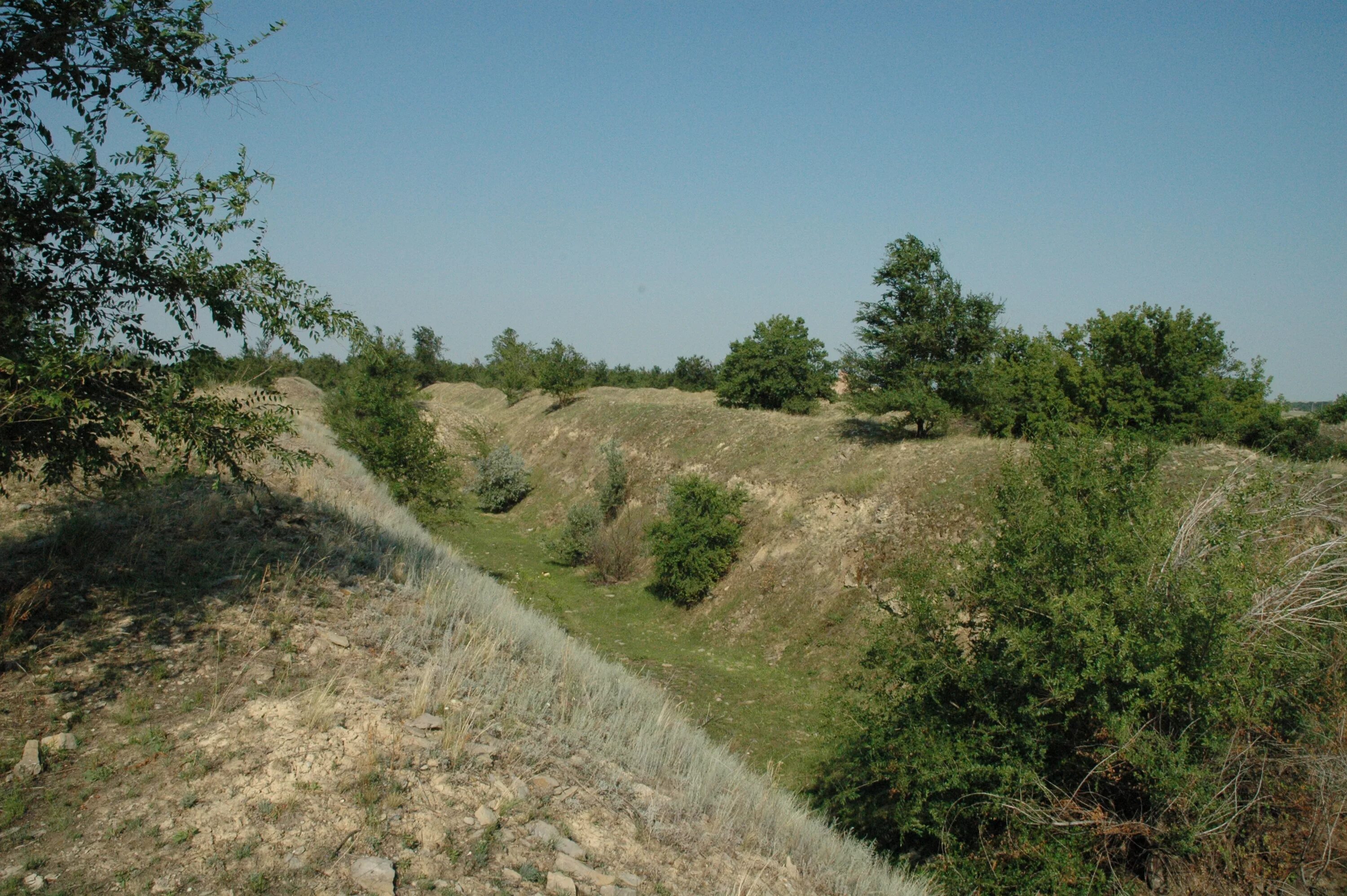 Река осиновка владимирская область. Большая сакма саратовская. Александровка саратовская область. Сакма саратовская область. Малая скатовка саратовская область.