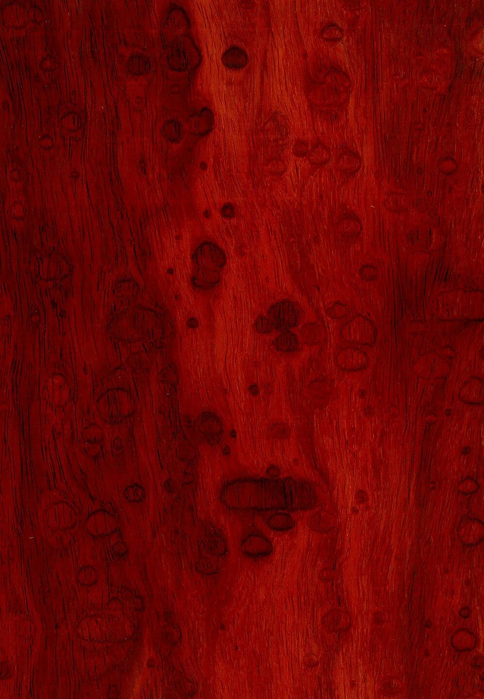 Древесина красное дерево красный Падук. Красное сандаловое дерево древесина. Красное дерево текстура.