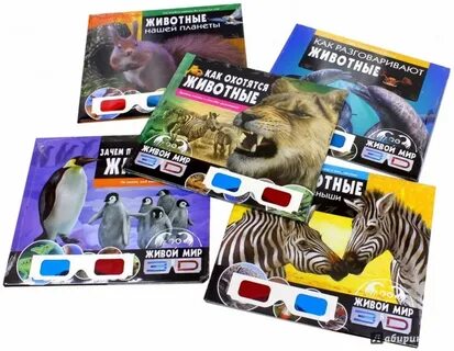 Animal book