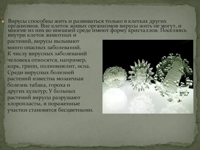 Сколько живет вирус на поверхности. Вирусы вне клеток других организмов. Могут ли вирусы жить в клетках. Вирусы обитают только в живых организмов. Вирусы не могут жить вне клетки.