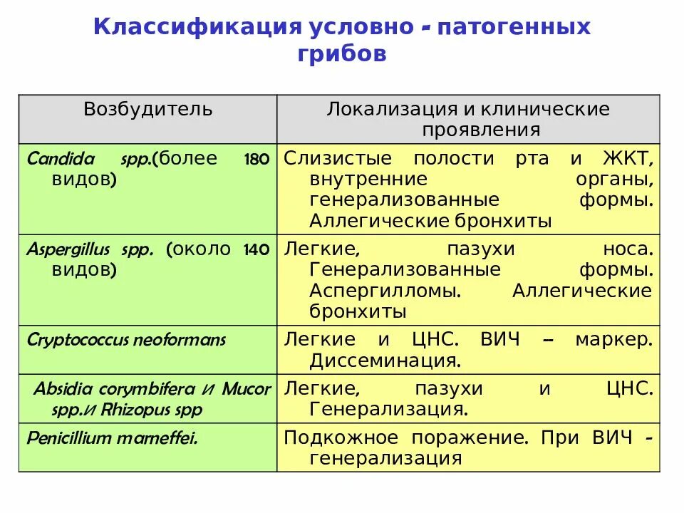 Почему некоторые грибы называют патогенными. Классификация патогенных грибов микробиология. патогенные грибы микробиология классификация. условно патогенные грибы микробиология. патогенные виды грибов микробиология.
