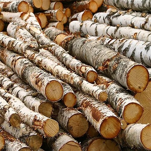 кругляк береза мостовик. баланс березовый. лес кругляк пиловочник. баланс (тонкомер). закупаем балансы.