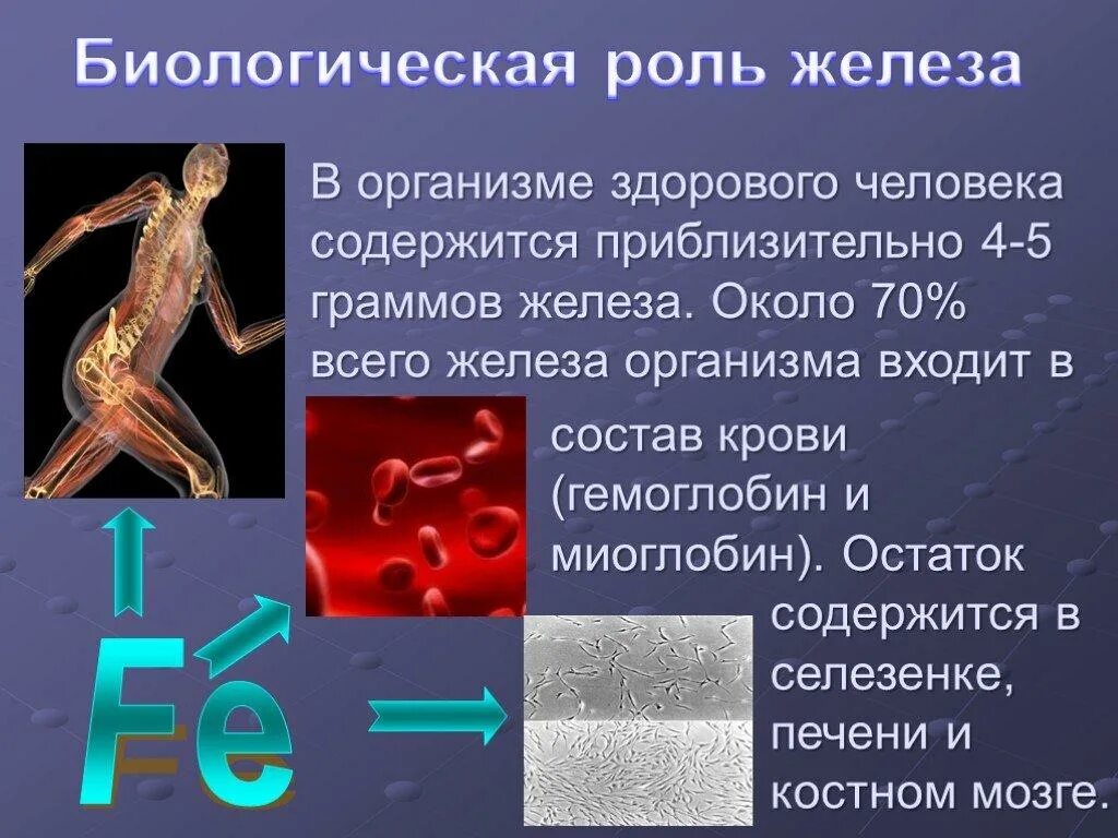 Какую функцию выполняет железо в организме. Роль железа в организме человека. биологическая роль железа. биологическая роль железа в организме человека. биологичекая роль железо.
