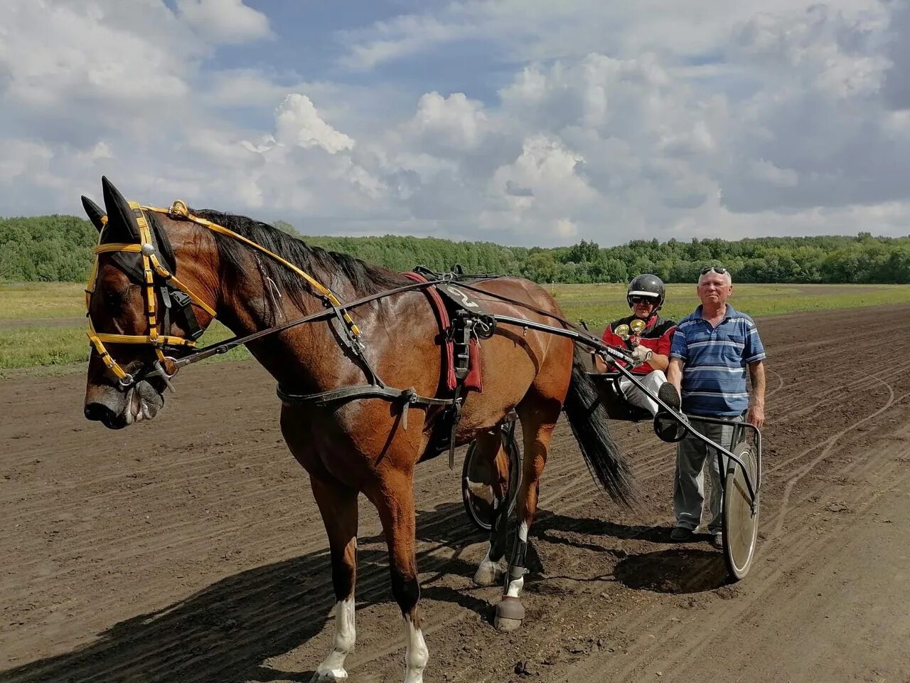 ход конем хабаровск