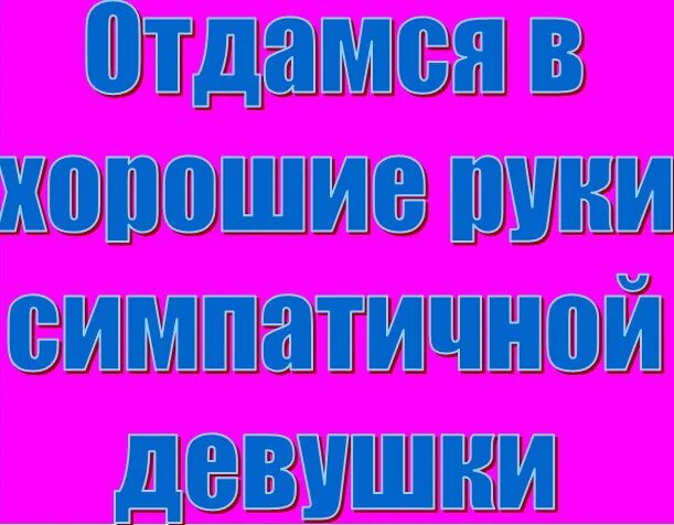 Ищу спутницу жизни. Картинки ищу спутницу жизни. Ищу спутника жизни картинка. Ищу спутницу.