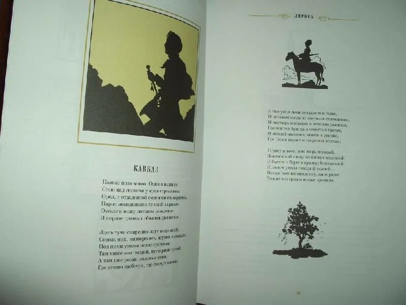 Медный всадник книга. Полтава сколько страниц. Пушкин поэма медный всадник сколько страниц. Пушкин медный всадник обложка книги. Пушкин поэма медный всадник сколько страниц.