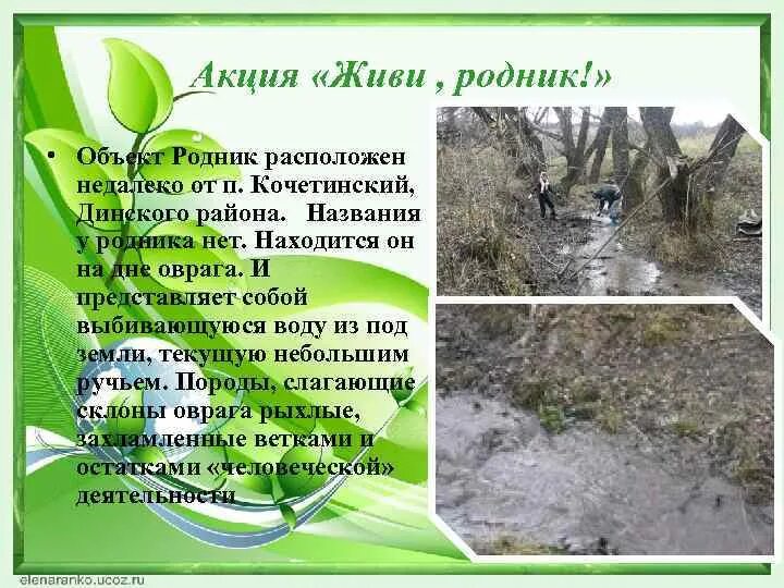 Живи родник живи. Живи родник живи. Акция родники. Родник картинка. Акция чистые родники.