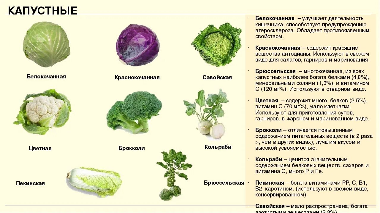 Можно ли кормящей овощи