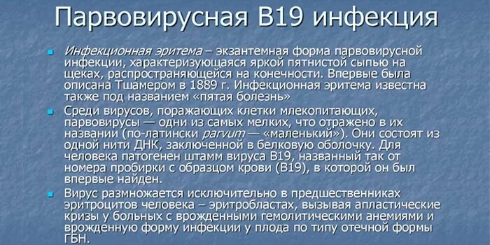 Парвовирус у детей лечение. Пятая болезнь инфекционная эритема. Парвовирусная инфекция сыпь. Инфекционная эритема парвовирус. Парвовирусная инфекция у детей сыпь.