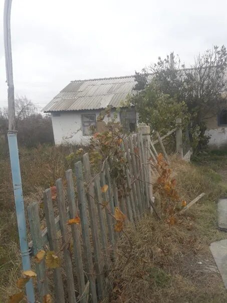 Погода в стефановке. Погода в стефановке. Погода в стефановке. Село стефановка. Погода в стефановке.