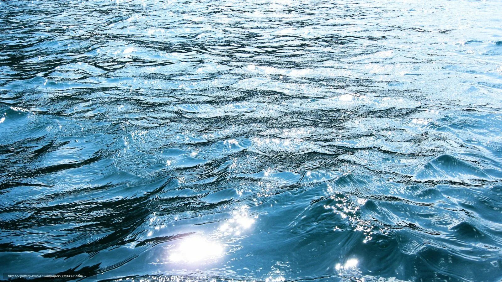 Плывя по поверхности воды. Волны на воде. Гладь воды. Текстура воды. Вода фон.