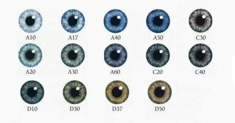 Eye 10