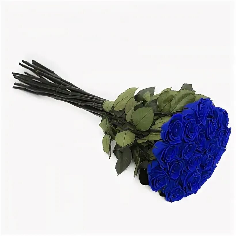 Синяя 25. Синие розы Эквадор. Синие розы 25 штук. Букет роз с ирисами. Синие розы букет 25 штук.
