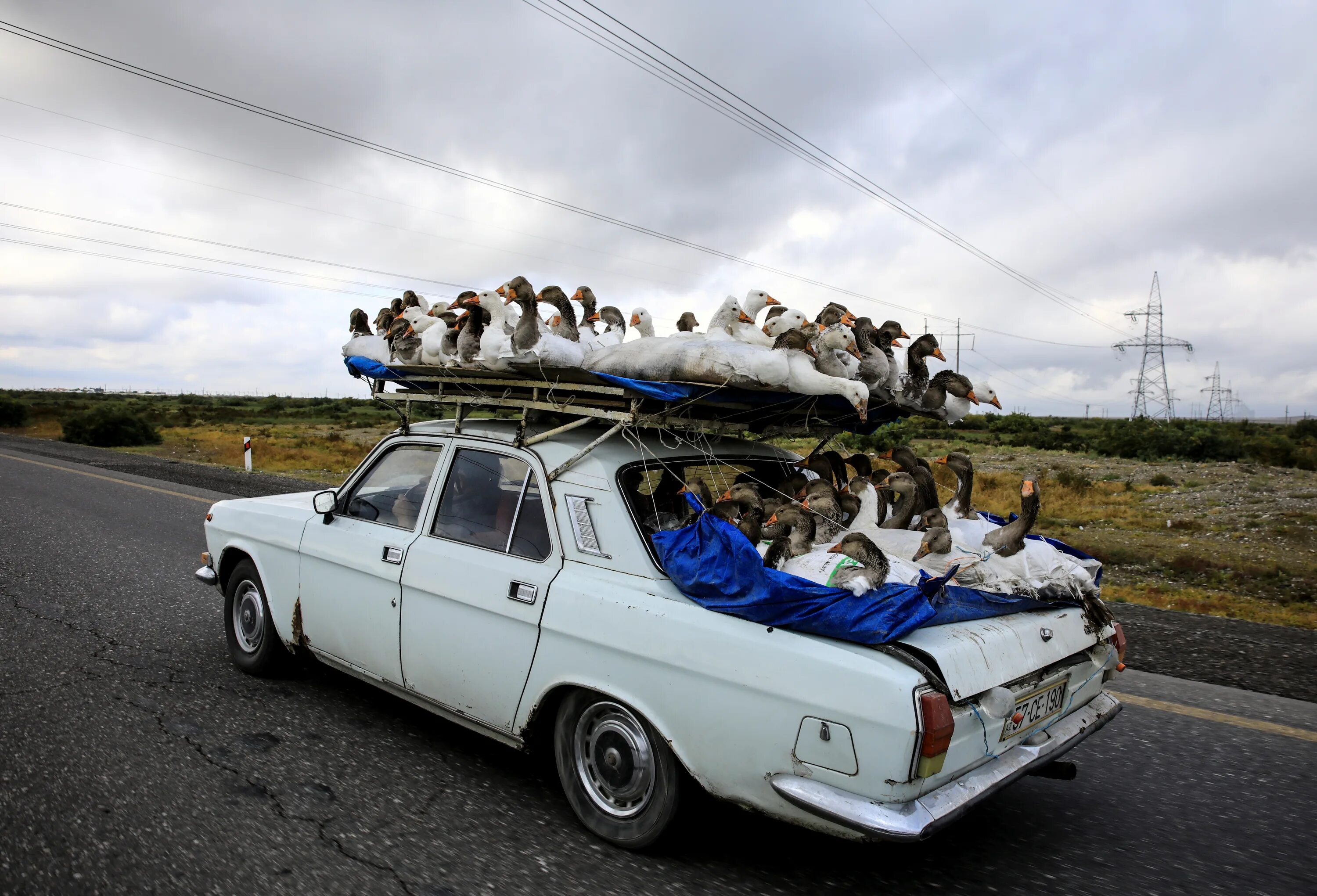 Крыша машины. Человек на крыше машины. Фотосессия на крыше авто. Едет на крыше автомобиля. Тачки везет