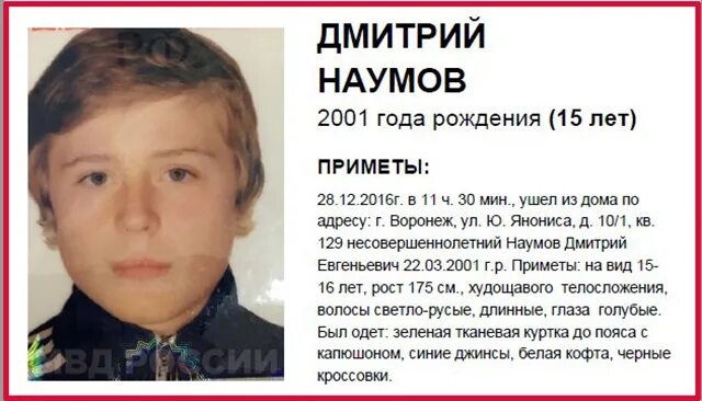 Данные 15 летнего. Наумов дмитрий евгеньевич. дмитрий наумов воронеж. член 11 летнего школьника. сухощавый 15 летний мальчик.