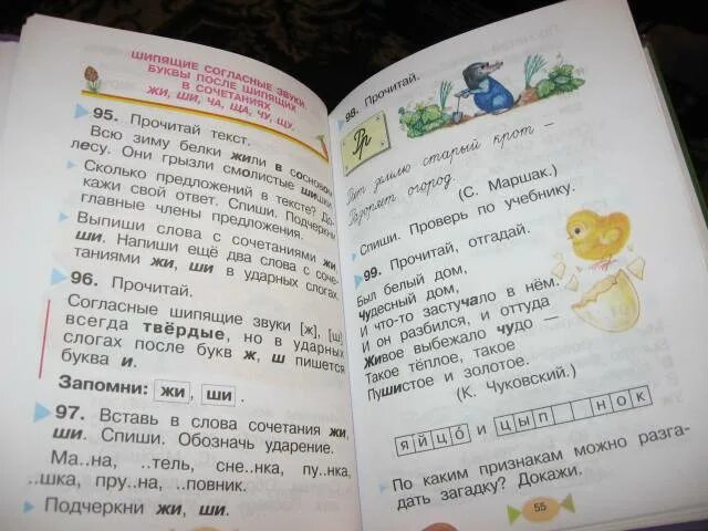 Учебник русский язык 1 класс стр 43. Учебник по русскому языку 1 класс. Книга русский язык 1 класс. Русский язык. 1 Класс. Учебник. Учебник по русскому языку школа России.