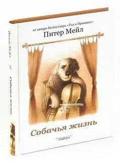 Собачья жизнь спб