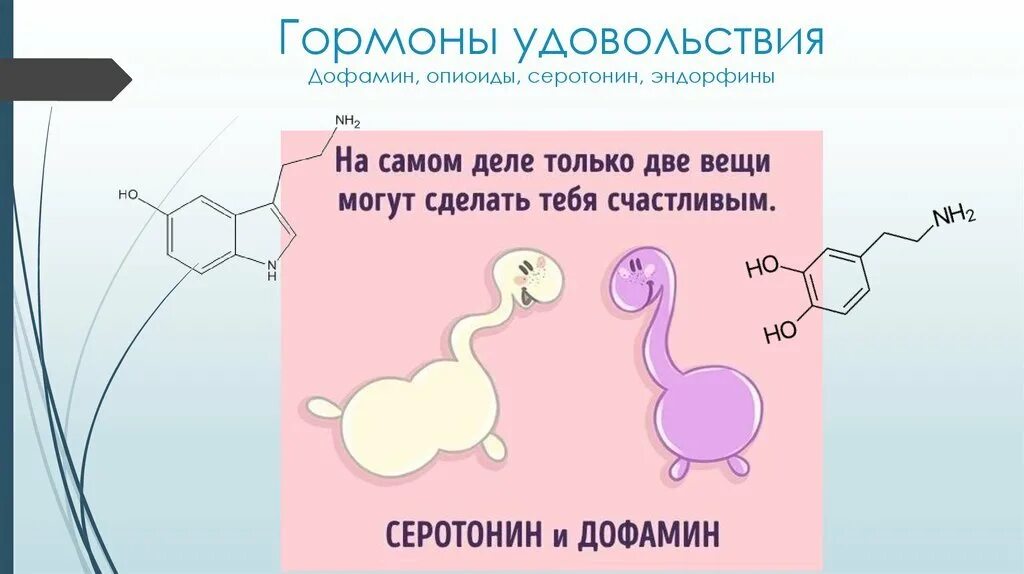 Выработка серотонина и дофамина