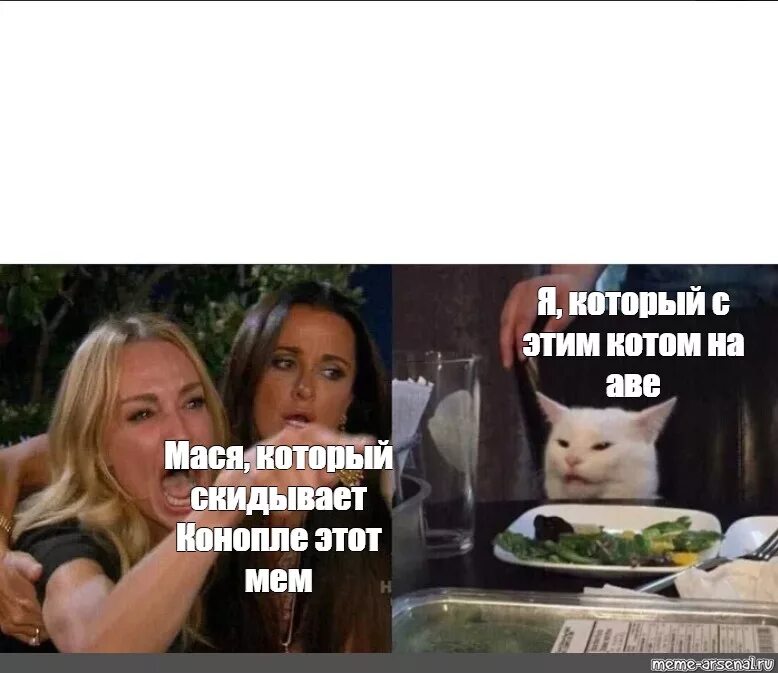 Мем про девушку и кота. Мемы с котом и девушками с надписями. меме телки и котик о надписях. котик девочка мем.
