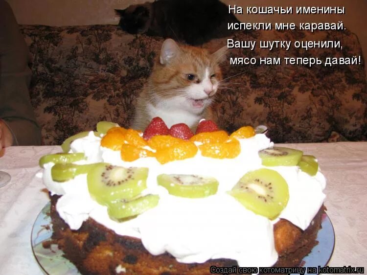 день кошек. всемирный день кошек открытки. день имени кошек. день кошек. именины у кота.