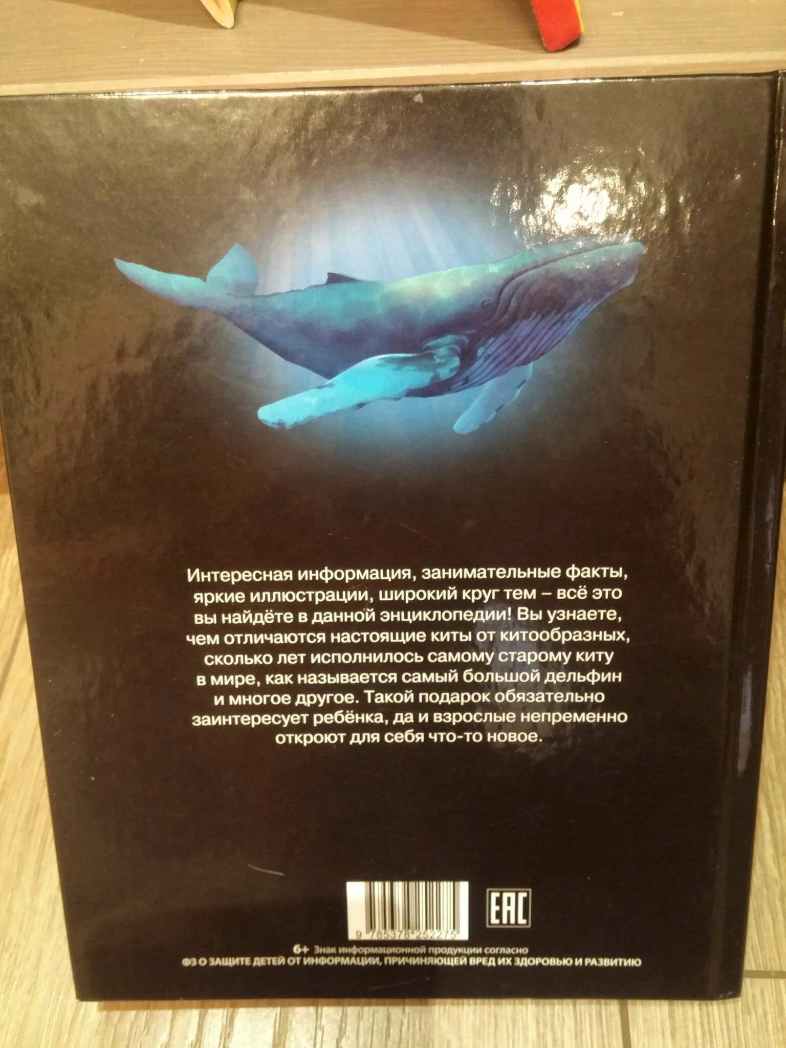 Книга про кита. Книжка киты. Книги про китов. Книги про китов и дельфинов.